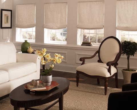 Transitional Living Room with single hung windows