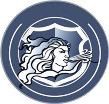 Logo for BRYCOR, Inc.