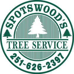 Spotswood's Tree Service logo
