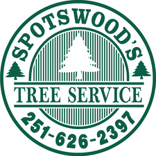Spotswood's Tree Service logo
