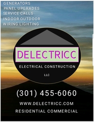 Delectricc, LLC logo