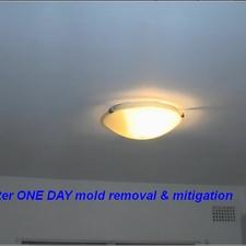 The Twin Home Experts Testing Abatement Los Angeles Ca 91406 Homeadvisor