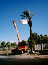 J P Tree Care logo