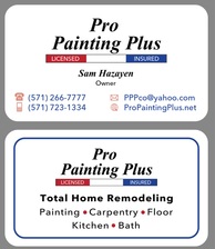 Pro Painting Plus, LLC logo