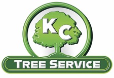 Avatar for KC Tree Service