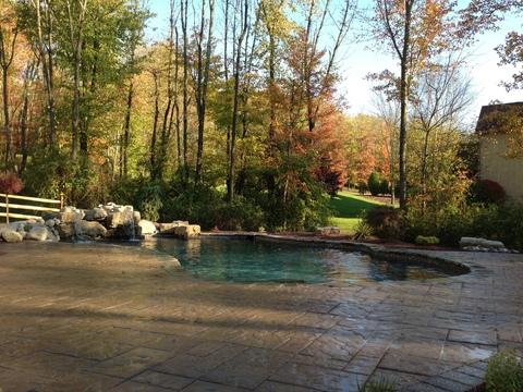Garden Pool with stamped and stained concrete patio