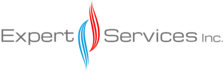 Expert Services, Inc. logo