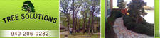 Avatar for Tree Solutions