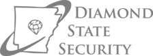 Avatar for Diamond State Security, LLC