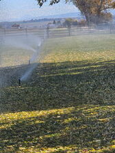 Avatar for Artesian Sprinklers, Inc.