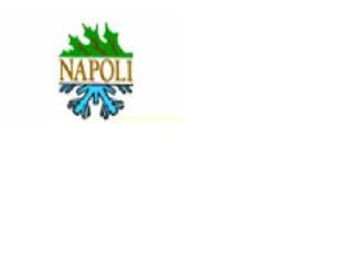 Napoli Professional Landscaping, Inc. logo