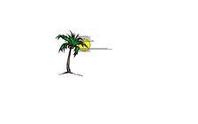 Avatar for Tropical Window Coverings, Inc.
