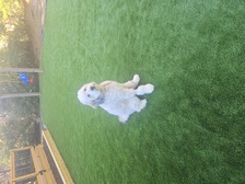 Avatar for Fikes Design, LLC