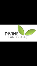 Avatar for Divine Landscapes