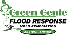 Green Genie, LLC logo