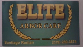 Elite Arbor Care & Landscaping, Inc. logo