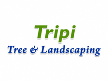 Avatar for Tripi Tree & Landscaping
