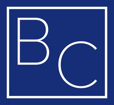 Blushi Construction logo