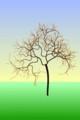 Environmental Solutions of Brooksville, LLC logo