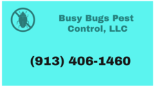 Busy Bugs Pest Control, LLC logo