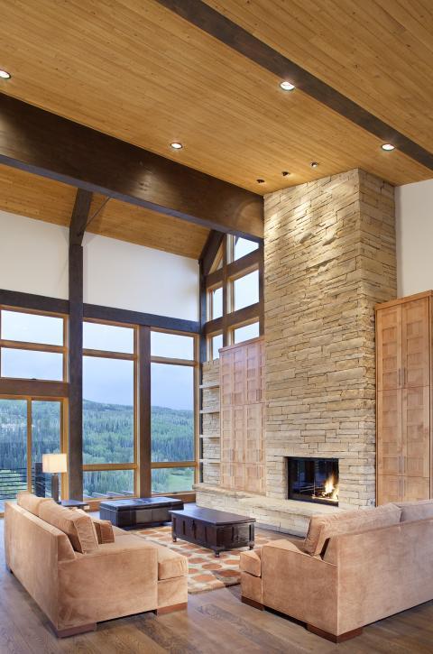 Contemporary Family Room with living room with high ceiling