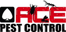 Ace Pest Control logo