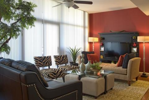Contemporary Family Room with zebra print upholstered chairs