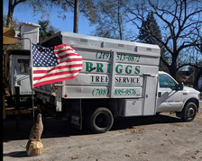 Avatar for Brigg's Tree Service, Inc.