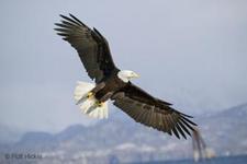 Logo for Brighter Homes 4 You, LLC