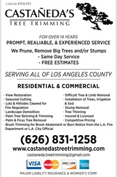 Castaneda's Tree Trimming logo