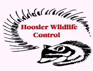 Hoosier Wild Life Control logo