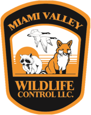 Avatar for Miami Valley Wildlife Control, LLC