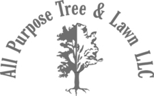 All Purpose Tree and Lawn, LLC logo