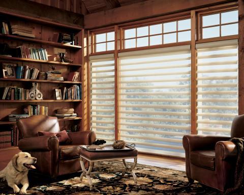 Traditional Living Room with hunter douglas pirhouette