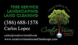Creative Vision Tree & Landscape logo