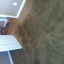 Top 10 Best Carpet Cleaners In Staten Island Ny Angie S List