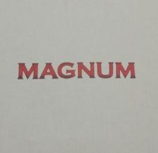Magnum Construction and Flooring, Inc. logo