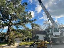 Avatar for Camargo Tree Service, LLC
