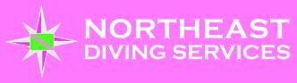 Northeast Diving Services, LLC logo
