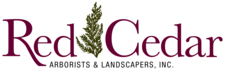 Logo for SavATree - Wappingers Falls