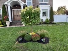 Avatar for Polanco Bros Landscaping, LLC