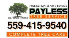 Avatar for Payless Tree Service