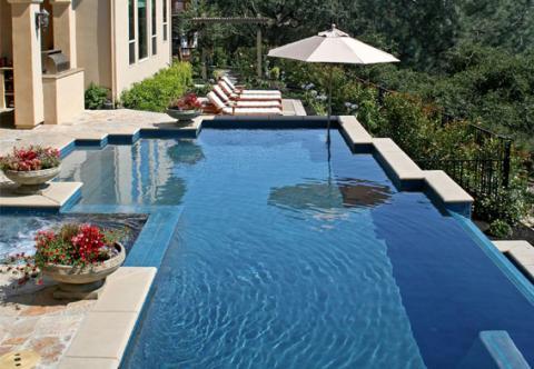 Contemporary Pool with small bushes lining home