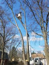 Avatar for United Outdoor Services, LLC