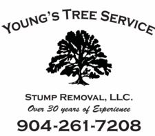 Young's Tree Service & Stump Removal, LLC logo