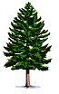 Evergreen Appraisal Group, Inc. logo