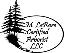 M. LaBare Certified Arborist, LLC logo
