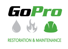Go Pro Restoration & Maintenance, Inc. logo