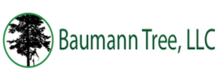 Avatar for Baumann Tree, LLC