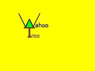 Wahoo Tree logo
